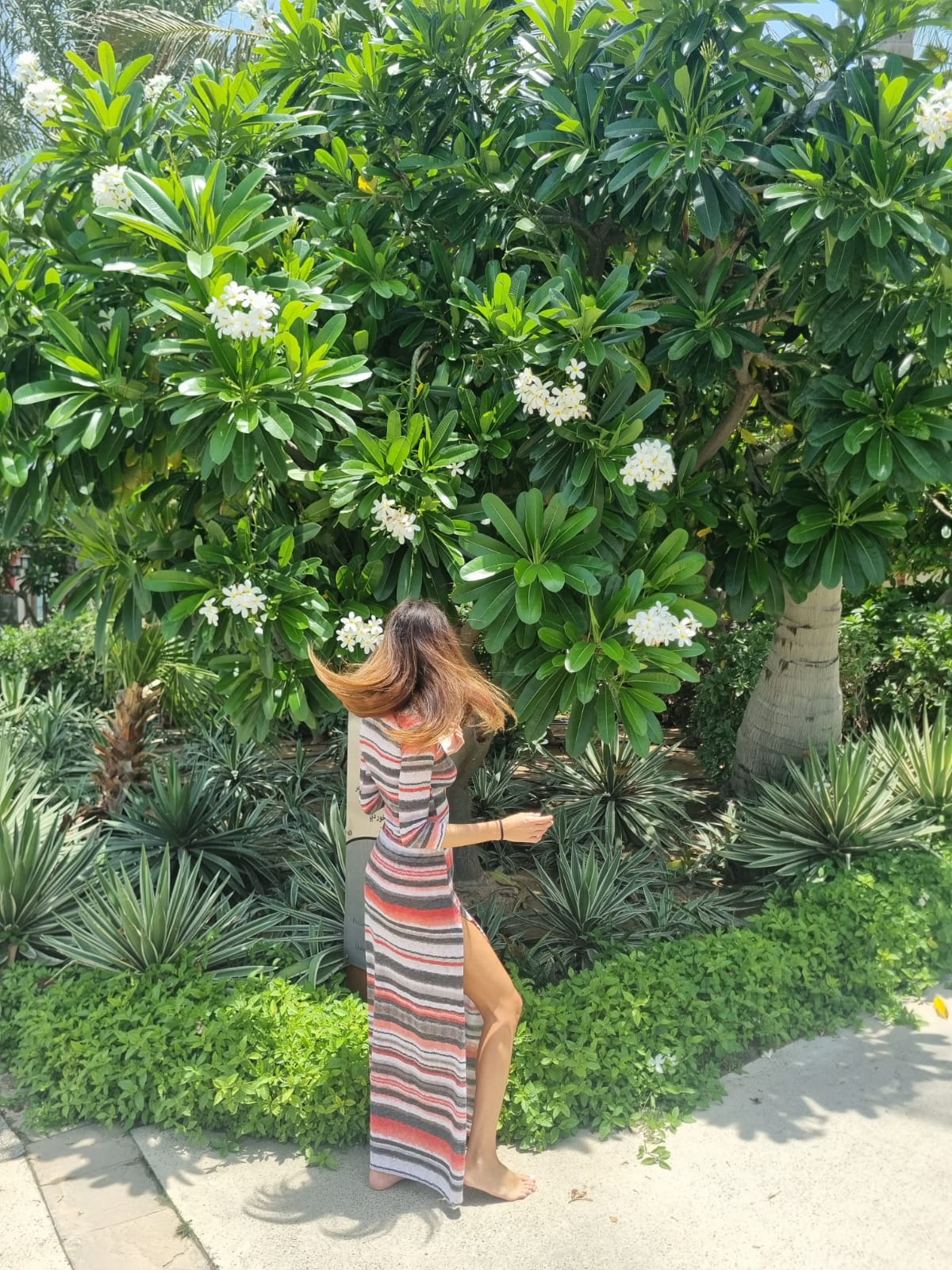 Ayana Knit Stripes