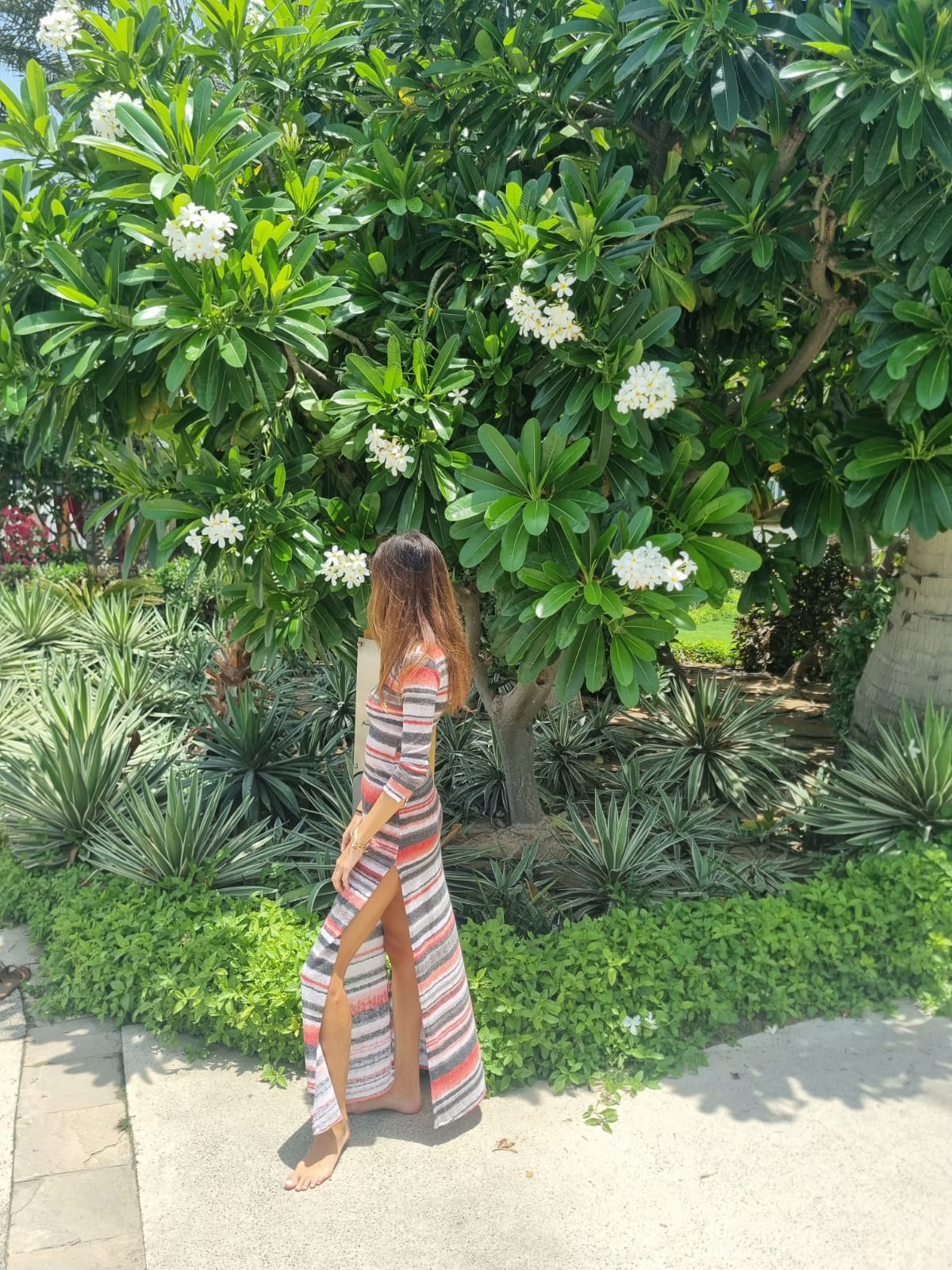 Ayana Knit Stripes